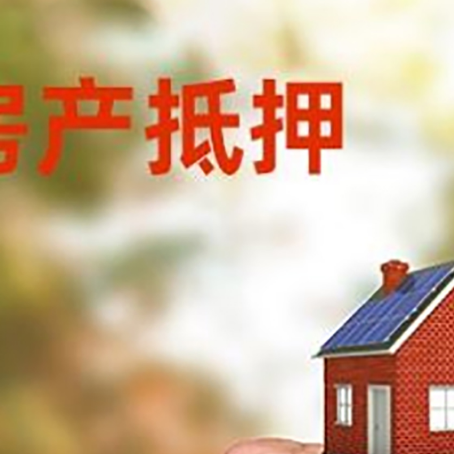 阿拉善右车辆抵押贷款不押车的形式月息高吗?